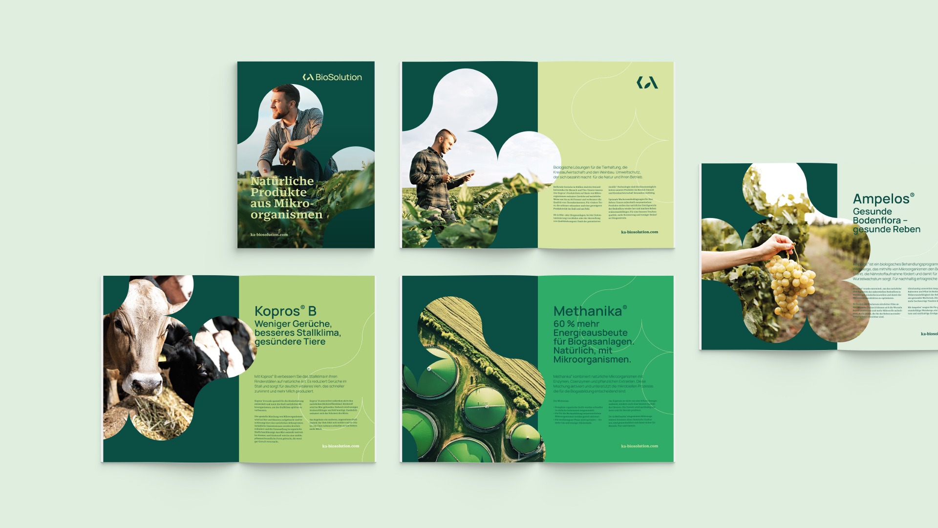 Brand Design KA BioSolution – Broschüre, Schöpferei